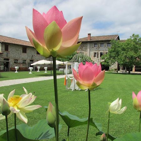 Agriturismo Il Vagabondo Buttrio Dış mekan fotoğraf