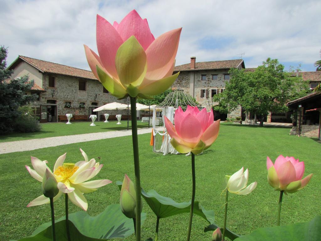 Agriturismo Il Vagabondo Buttrio Dış mekan fotoğraf